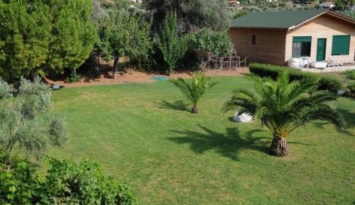 Twin Room with Mountain View