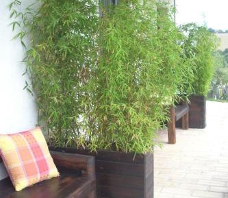Double or Twin Room with Garden View