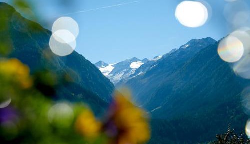 Single Room with Balcony