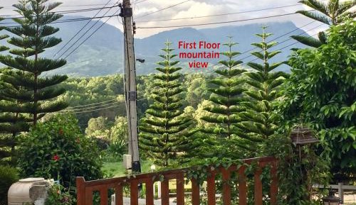 Family Room with Garden View