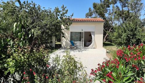 Studio with Garden View