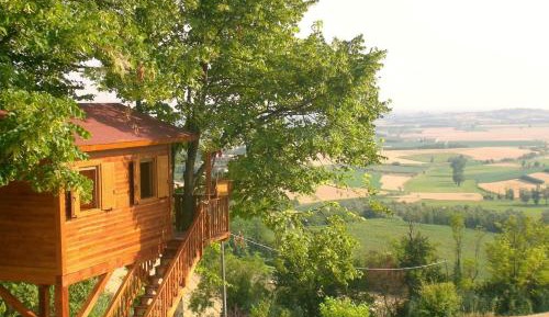 Tree House - Double Room