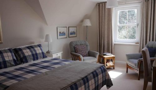 Large Superior Double or Twin Room