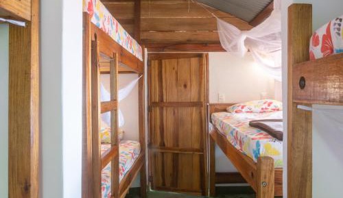 Bunk Bed in Mixed Dormitory Room