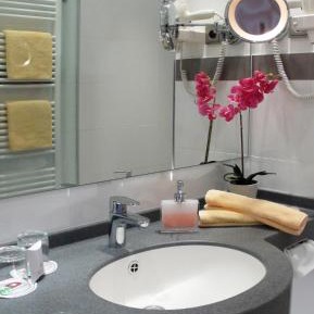 Superior Single Room