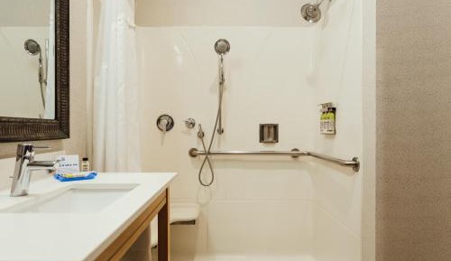 King Room with Roll-In Shower - Disability Access