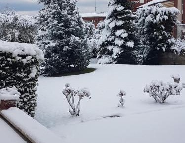 Deluxe Room (2 Adults + 1 Child)