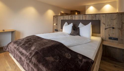 Double or Twin Room with Mountain View