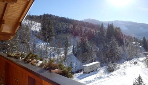 One-Bedroom Apartment with Balcony