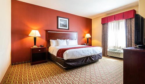 King Suite with Sofa Bed