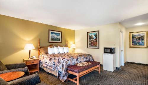 Superior Single Room