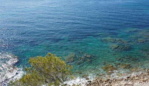 Bungalow with Sea View