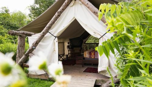 King Tent 