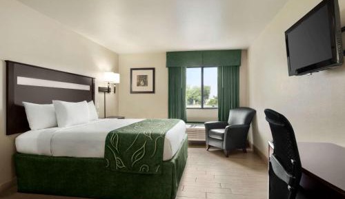 King Room - Mobility Access/Non-Smoking