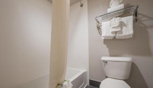Single Room - Disability Access