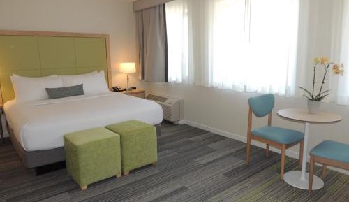 Junior Suite with King Bed