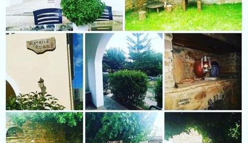 One-Bedroom Apartment with Garden View