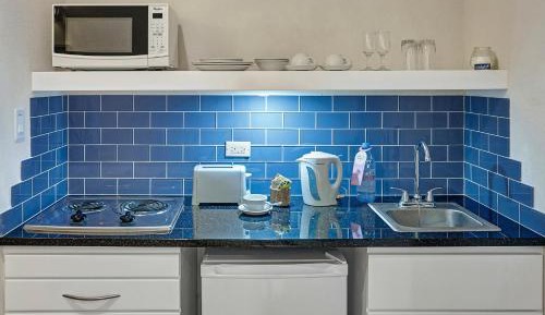 Deluxe Studio Island View