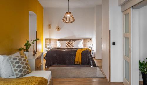 Deluxe One-Bedroom Apartment