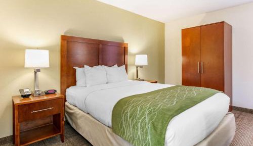 Queen Room - Disability Access/Non-Smoking