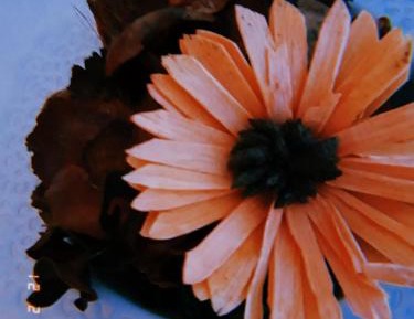 Large Double or Twin Room