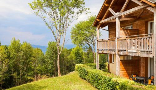 One-Bedroom Apartment in Chalet (4 People)