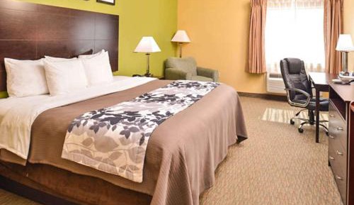 King Room - Accessible/Non-Smoking