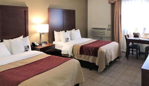 Double Room with Two Double Beds - Non-Smoking