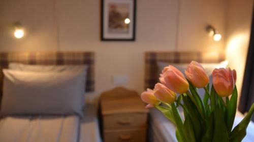 Two-Bedroom Chalet (No Pets)