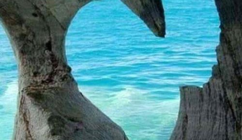  Two-Bedroom Apartment with Terrace