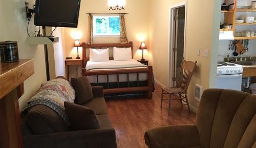 Studio with Garden View