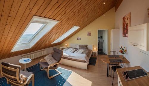 Double Room with Lake View