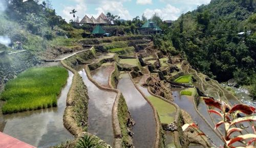 Standard Twin Room with Mountain View