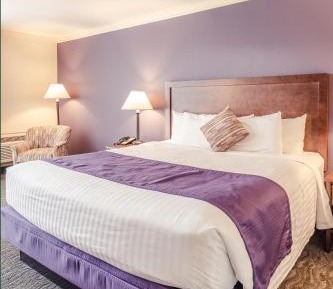 Comfort King Room