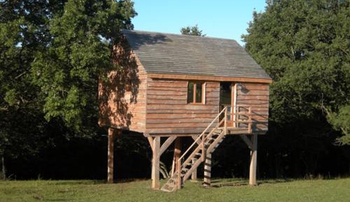 Family Tree House