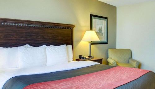 King Room - Non-Smoking