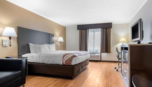 King Room - Pet Friendly/Non-Smoking