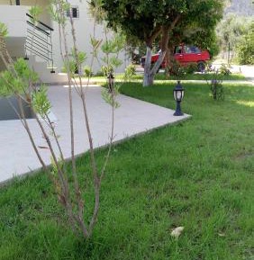 Studio with Sofa Bed