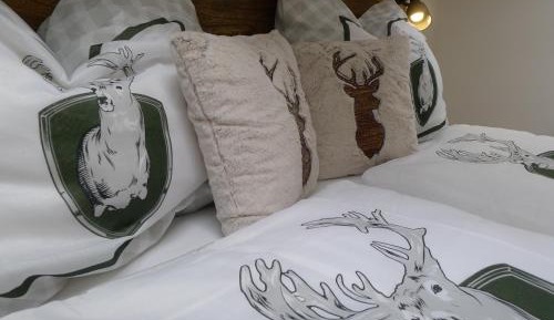 Superior Apartment with 2 Bedrooms