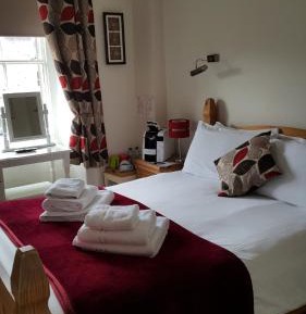 Double Room (Pet Friendly)