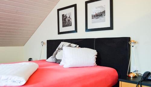 Budget Single Room - Annex