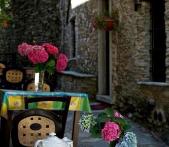 One-Bedroom Apartment (4 Adults)