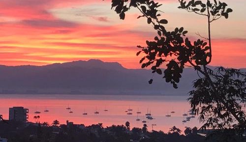 Superior Queen Studio 