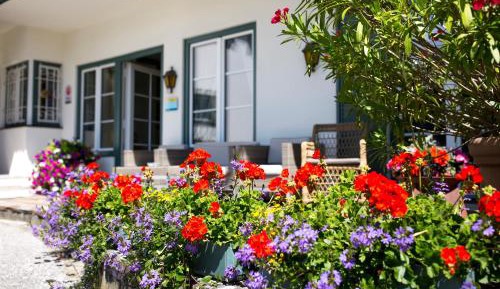 Single Room with Garden View