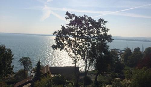 Apartment with Lake View