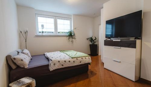Apartment with Shower