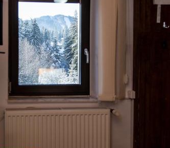 Two-Bedroom Apartment- Attic