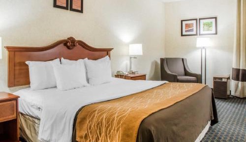 Queen Room - Disability Access/Non-Smoking