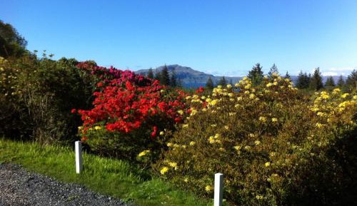 Superior King or Twin Room