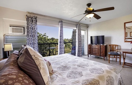 Poipu Condo | Prince Kuhio 335 OCEANVIEW STUDIO